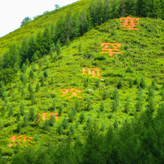 景点模块 