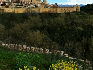 塞哥维亚大教堂