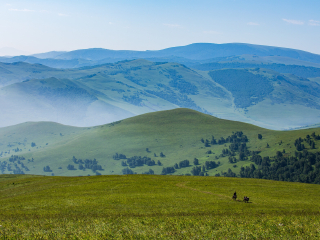 塞罕坝机械林场