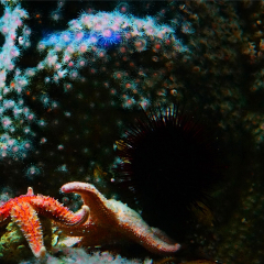 塞德水族馆的#旅图换旅费#