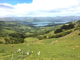 莎玛拉羊驼牧场