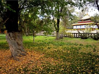 拉加里王宫遗址