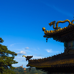 须弥福寿之庙的#旅图换旅费#