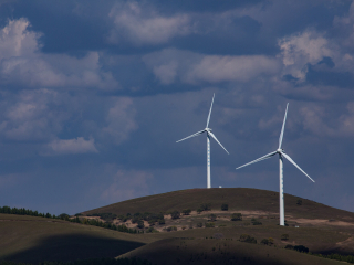 御道口草原森林