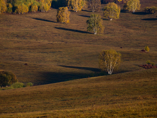 御道口草原森林