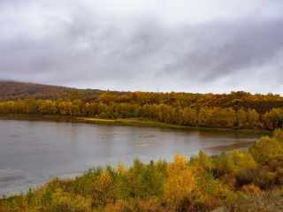 御道口草原森林