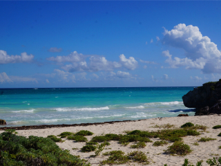 图卢姆玛雅遗址