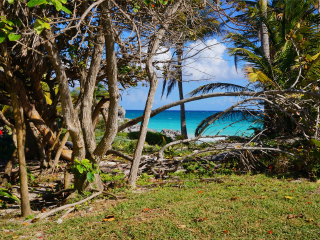 图卢姆玛雅遗址