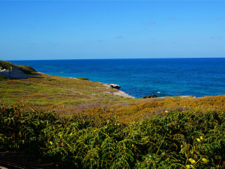 伊希切尔神庙废墟