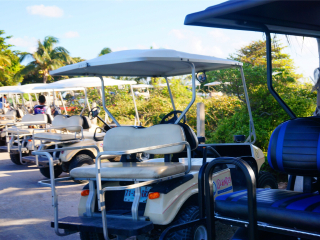 伊希切尔神庙废墟