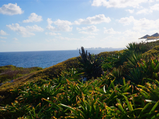 伊希切尔神庙废墟