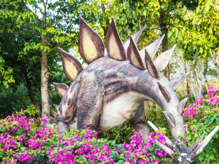 大鹏半岛国家地质公园博物馆