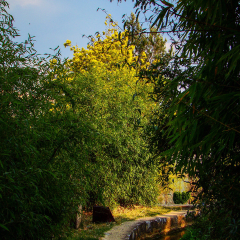 观音峡的#旅图换旅费#
