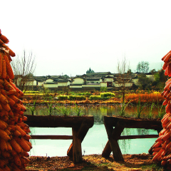 观音峡的#旅图换旅费#