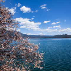 落水村的#旅图换旅费#