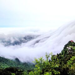 山