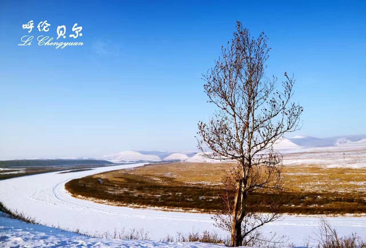 大雪满弓刀——呼伦贝尔的冰雪天地行