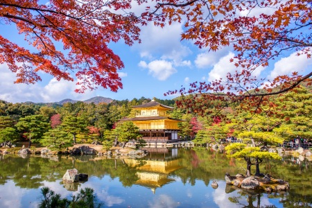 <日本本州6日游>厦门直飞，东阪行程
