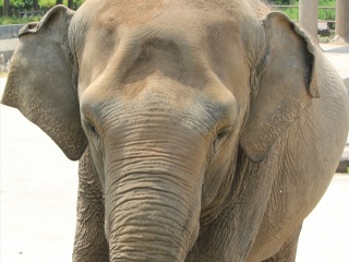 上海动物园地铁站
