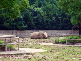 上海动物园地铁站