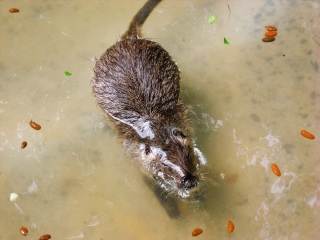 上海动物园地铁站