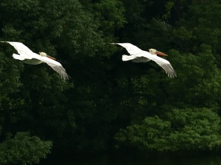 上海动物园地铁站