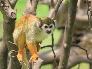 上海动物园地铁站