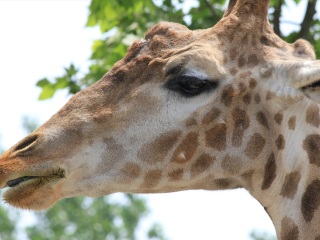 上海动物园地铁站