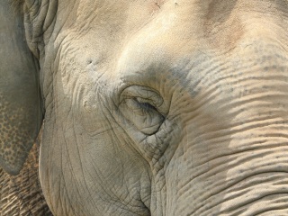 上海动物园地铁站