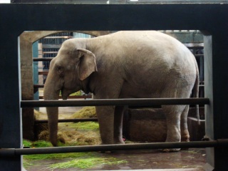 上海动物园地铁站