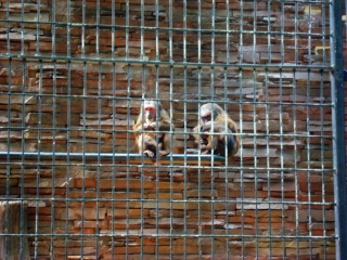 上海动物园地铁站