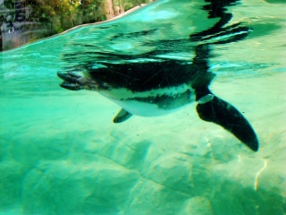 上海动物园地铁站