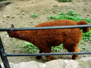 上海动物园地铁站