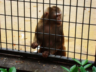 上海动物园地铁站