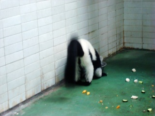 上海动物园地铁站