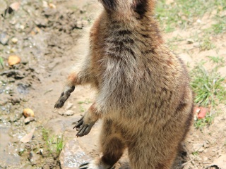 上海动物园地铁站