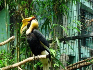 上海动物园地铁站