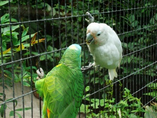 上海动物园地铁站