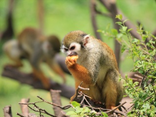 上海动物园地铁站