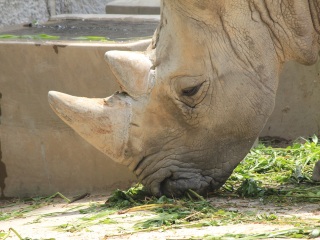 上海动物园地铁站