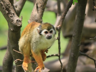 上海动物园地铁站