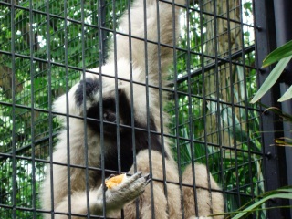 上海动物园地铁站