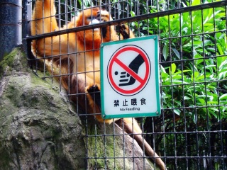 上海动物园地铁站