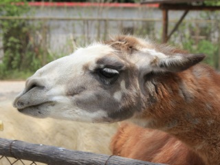 上海动物园地铁站