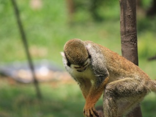 上海动物园地铁站