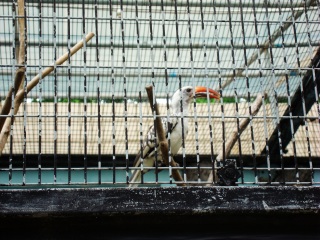 上海动物园地铁站