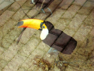 上海动物园地铁站