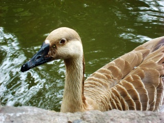 上海动物园地铁站