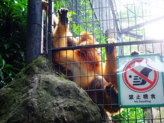 上海动物园地铁站