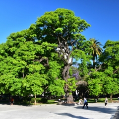 景点模块 